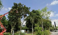 Sunrise Villa (D28), Terrace #460788661